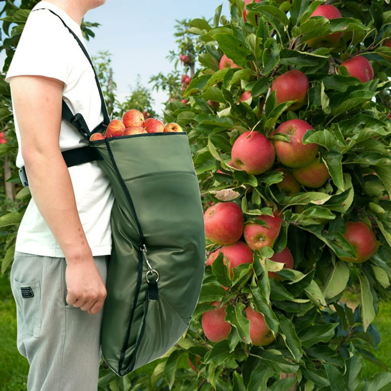 Fruit Picking Bag Adjustable Harvest Garden Apron for Outdoor Orchard  Apples