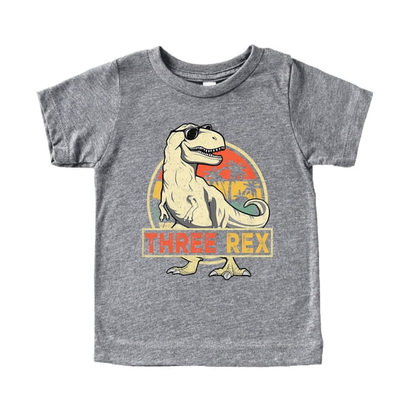 3rd Birthday T-Rex Dinosaur Shirt for Boys & Girls - Cool Three Rex Dino Party Tee for Toddler Granite Heather Shirt 2T