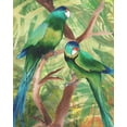 thumbnail image 2 of Medley, Elizabeth 20x24 White Modern Wood Framed Museum Art Print Titled - Tropical Birds II, 2 of 4