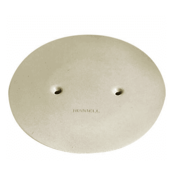Hubbell Wiring Device-Kellems Abandonment Plate,PVC AP2I