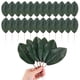thumbnail image 1 of Paquete de 50 hojas artificiales, hoja verde falsa con tallos para manualidades 6.3x19.5cm, 1 of 1