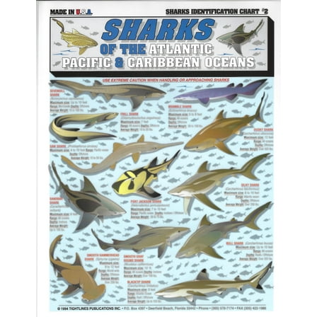 Sharks Identification #2 (Atlantic, Pacific, and Caribbean Oceans) - Waterproof Quick Reference Guide | Portable & Built to Last | Double-Sided & Easy to Read | (Size, Weight, Depth, Location)