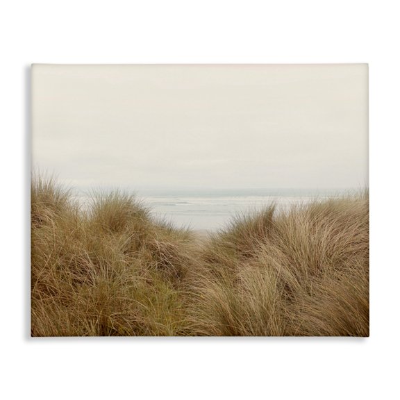 Stupell Industries Coastal Beach Behind Tall Grass Sun Bleached Ocean Landscape Canvas Art, 20 x 16, by Ian Winstanley