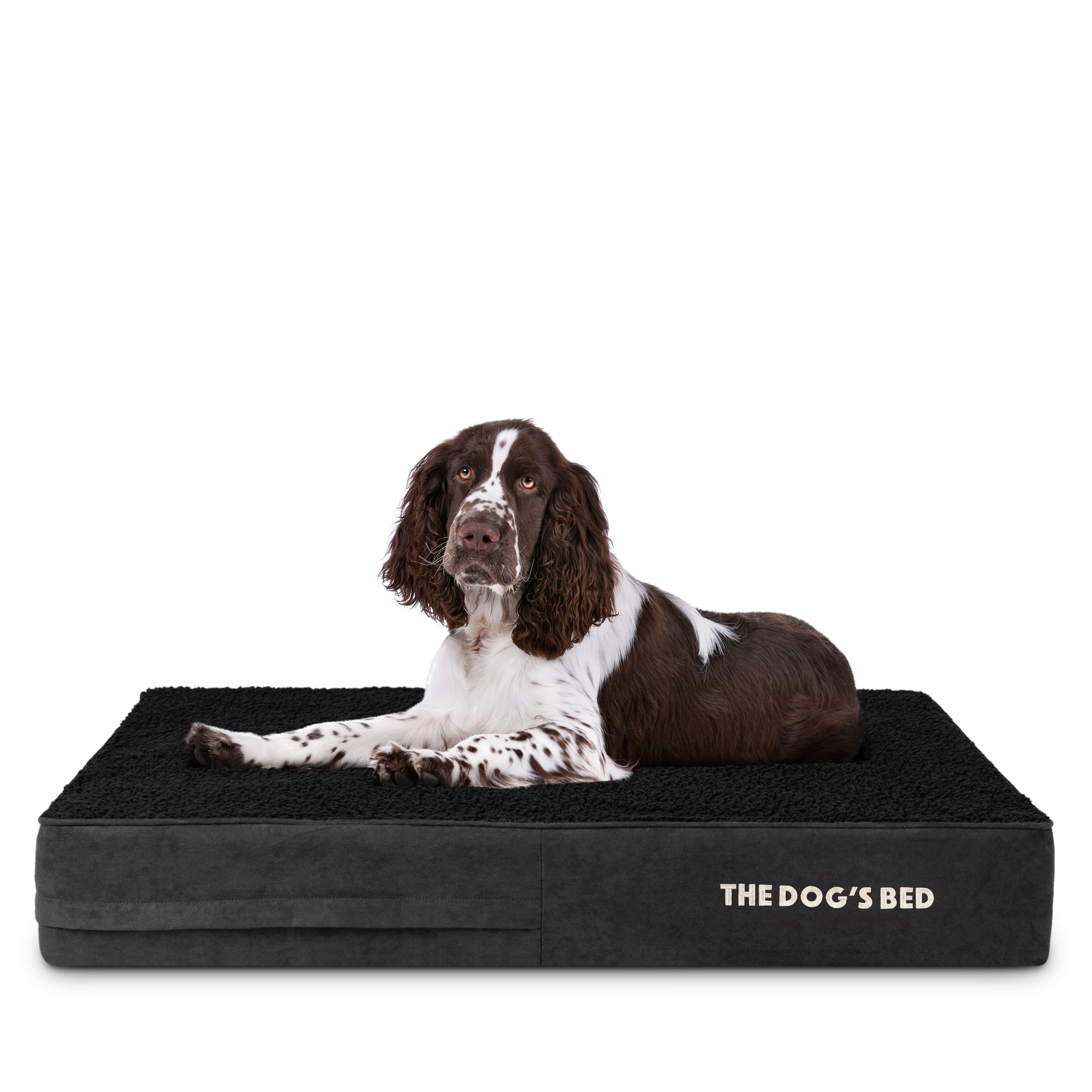 The Dog’s Bed Orthopedic Memory Foam Dog Bed, Large Black Plush 40x25, Pain Relief for Arthritis, Hip & Elbow Dysplasia, Post Surgery, Lameness, Supportive, Calming, Waterproof Washable Cover