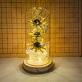 thumbnail image 3 of Eternal Flower Romantic Luminous Wooden Base Transparent Dome Flower Light for Valentine‘s Day, 3 of 8