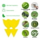 thumbnail image 4 of A prueba de agua Trampas para moscas Insectos Tablero adhesivo Insectos Pegatina Tulip Killer 10pcs, 4 of 8
