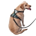 thumbnail image 2 of Kdxio Cloud Sky Green Dragon Print No Pull Dog Harness Adjustable Reflective Oxford Easy Control Medium Large Dog Harness for Training and Everyday-Small, 2 of 6