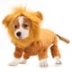 thumbnail image 1 of Ropa de Año Nuevo para perros y gatos, ropa para mascotas, ropa de transformación de dibujos animados MFZFUKR s, 1 of 6
