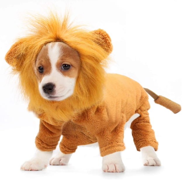 Ropa para perros y gatos de Año Nuevo Ropa para mascotas Dibujos animados Transfiguración Vestido981
