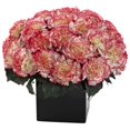 thumbnail image 1 of Arrangement pour Œillets w/Vase, 1 of 1