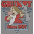 thumbnail image 2 of Boy's Snow White and the Seven Dwarfs Grumpy Since '37  Performance Graphic Tee Charcoal Heather Medium, 2 of 4