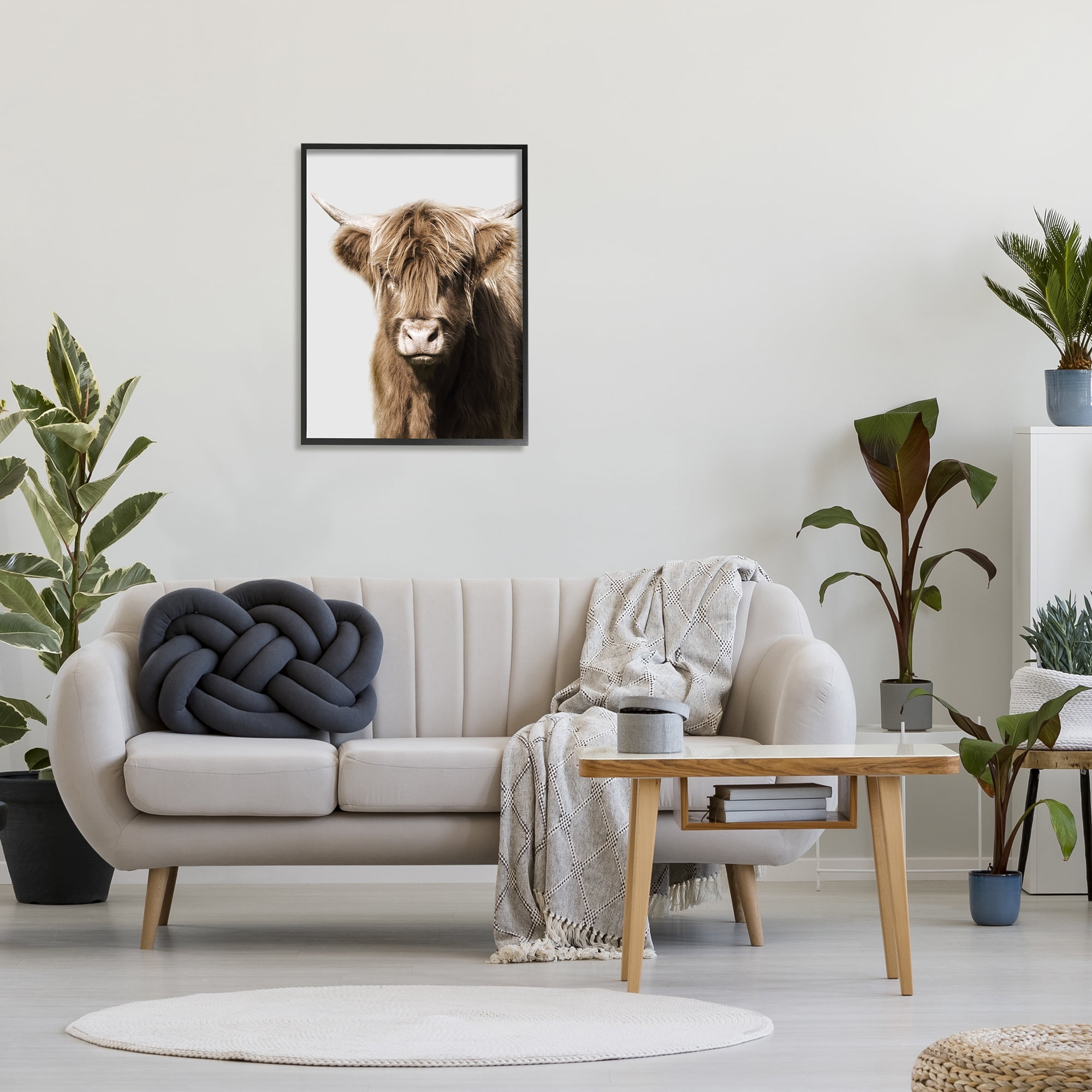 Stupell Industries Highland Cattle Close-Up Animals & Insects Photography Black Framed Art Print Wall Art, 24 x 30