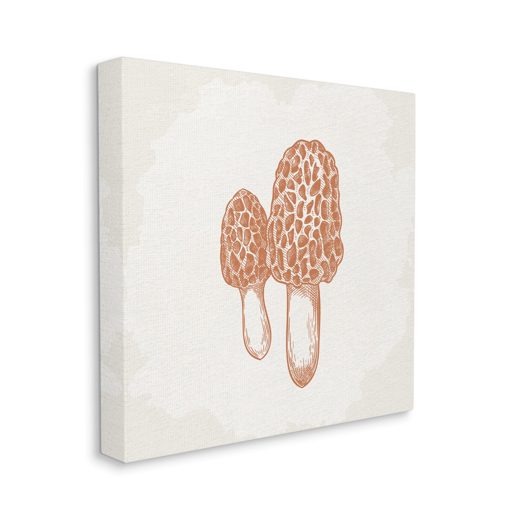 Stupell Industries Detailed Mushroom Latin Study Drawing Graphic Art Gallery Wrapped Canvas Print Wall Art, Design by Kim Allen
