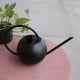 thumbnail image 1 of Regadera de Acero Inoxidable: Regadera de Metal con Pico Largo Antiderrames, Ideal para Plantas de Interior y Exterior., 1 of 7