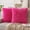 Rose, variant on 17×17 Inch Velvet Throw Pillow Covers 2-Pack,  Soft Decorative Cushion Covers for Sofa, Bed, Living Room, Bedroom, Apartment & Airbnb Decor
