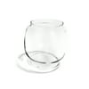 Stansport Replacement Glass Globe For Stansport Small Hurricane Camping Lantern #130 - Oil Kerosine Lamp Clear Cover
