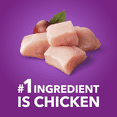 thumbnail image 4 of IAMS ADVANCED HEALTH Dry Dog Food Adult Mobility Support Chicken & Whole Grain Recipe 10kg, 4 of 16