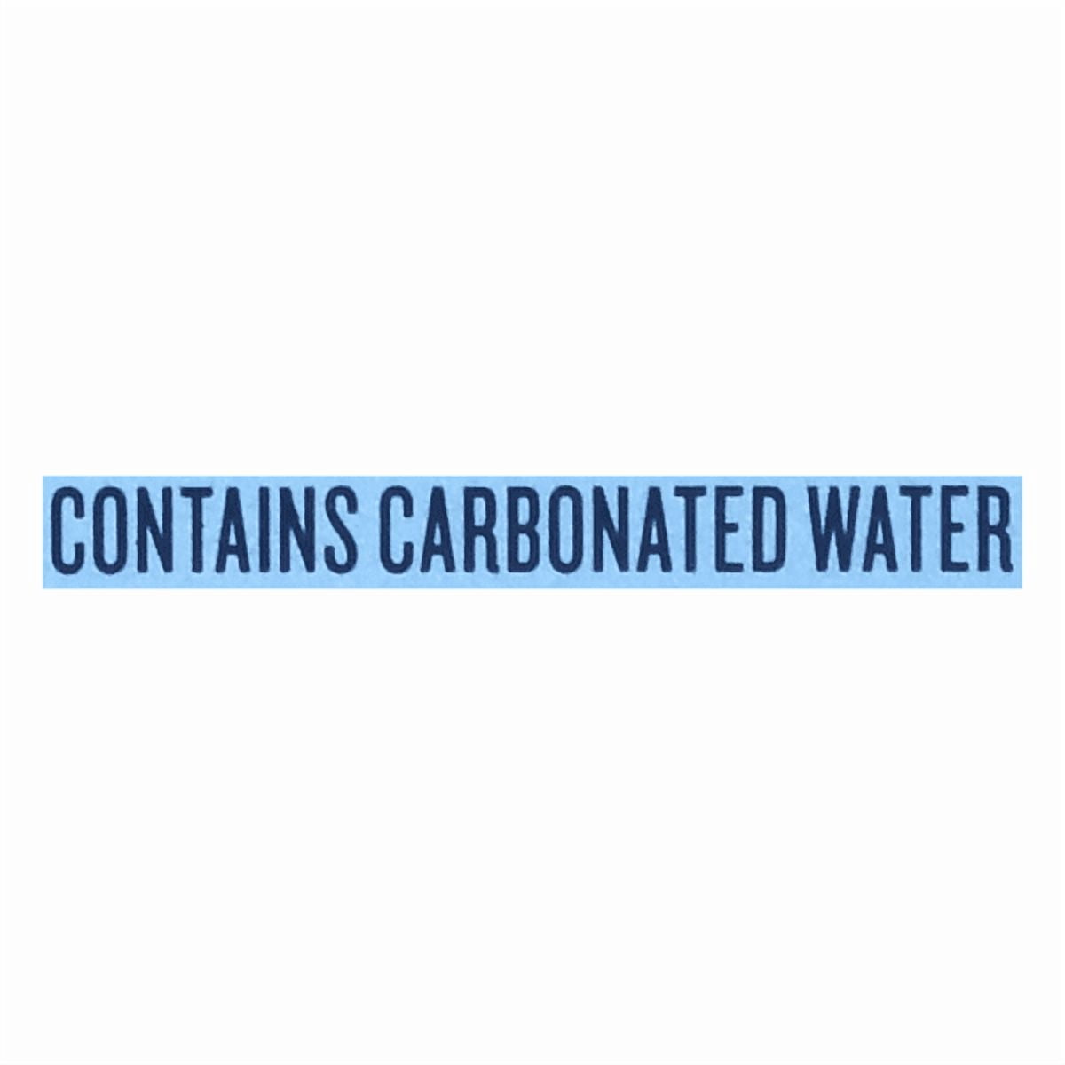 Polar Seltzer, Original Seltzer Water – 24 Cans (12 fl oz Each), Naturally Calorie-Free Sparkling Water