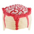 thumbnail image 1 of Halloween Asustadizo Colgando de Cerebro Sangriento de La Decoración para hogar de D - color , Rojo BLESIY Accesorios de Halloween para adultos, 1 of 8
