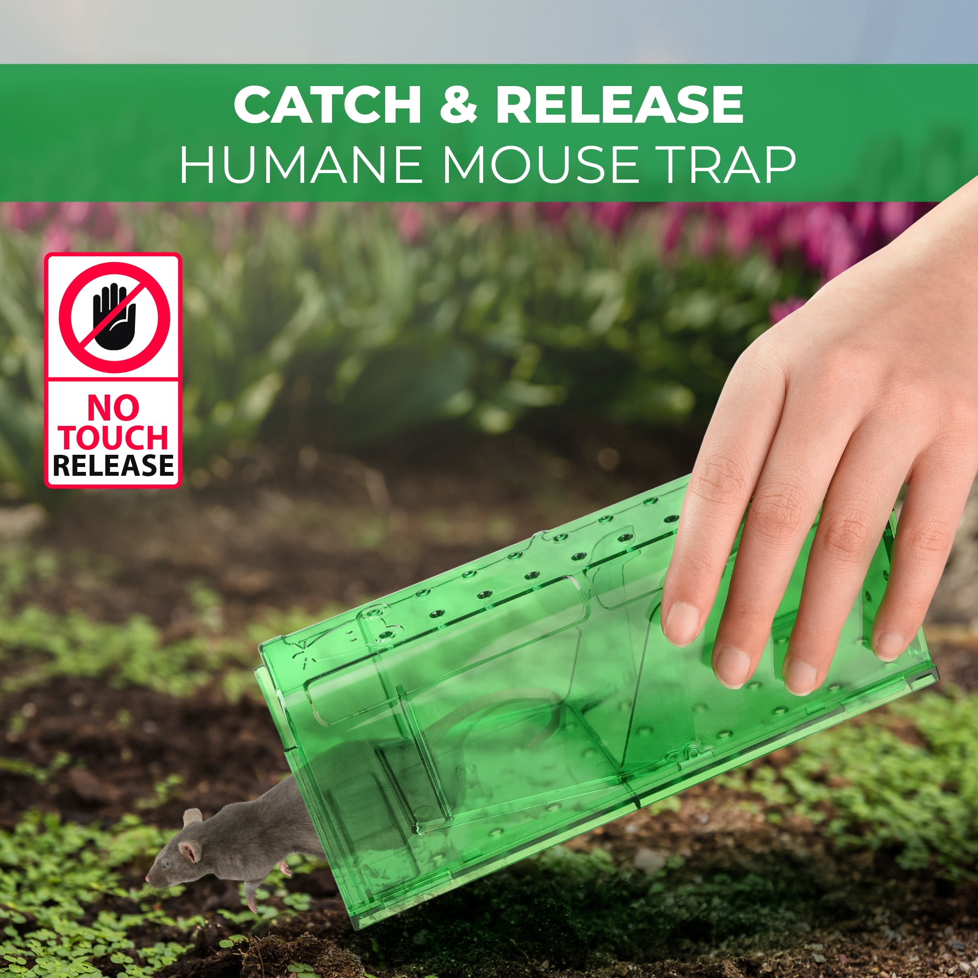Teal Elite Humane Mouse Trap, 4-Count Pack, Child-Resistant Indoor Rodent Traps