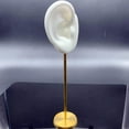 thumbnail image 4 of Durable Earring Display Holder Human Ear Model Stud Shelf Rack Earring Holder Soft Silicone White Right, 4 of 9