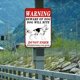 thumbnail image 5 of Placa Metal Vintage Advertencia Perro Pintura Hierro Rectangular Artística Pared 30x40cm, 5 of 9