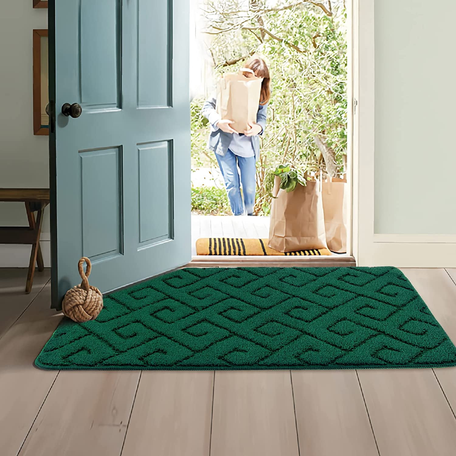 Walensee Indoor Doormat, Front Door Mat for Entrance, 24"x35" Green