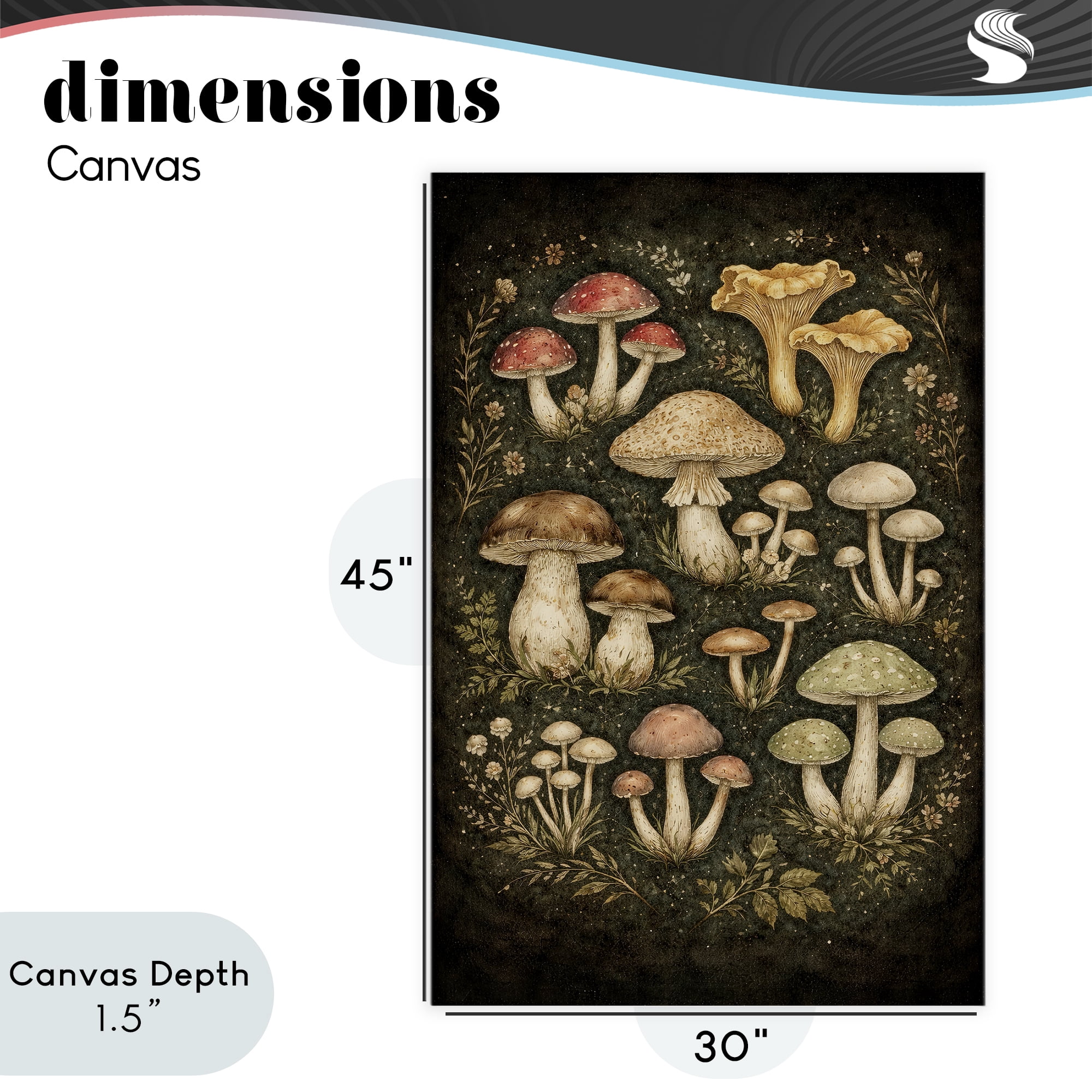 Stupell Industries Organic Sprouting Mushrooms Canvas Wall Art, design by Tom Crehan