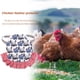 thumbnail image 3 of Wdftyju Delantal de sillín ajustable para aves de corral, vestido, patrón de gallo, Protector de alas traseras de gallina Wdftyju 5sk0he1zz1up2wn4D04, 3 of 8