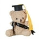 thumbnail image 3 of Plush Toy Stuffed Bear Graduate Student Souvenir Graduation Gift Bachelors Hat Graduation Hat Gift for Schools, 3 of 5