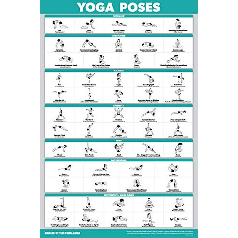 QuickFit Yoga Poses Poster - Beginner Yoga Position Chart - English and  Sanskrit Names - Double Sided (Laminated, 18 x 27) 