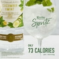 thumbnail image 3 of Ketel One Botanical Cucumber & Mint Vodka Distilled With Real Botanicals And Infused With Natural Flavors, 750 mL, 30% ABV, 3 of 10