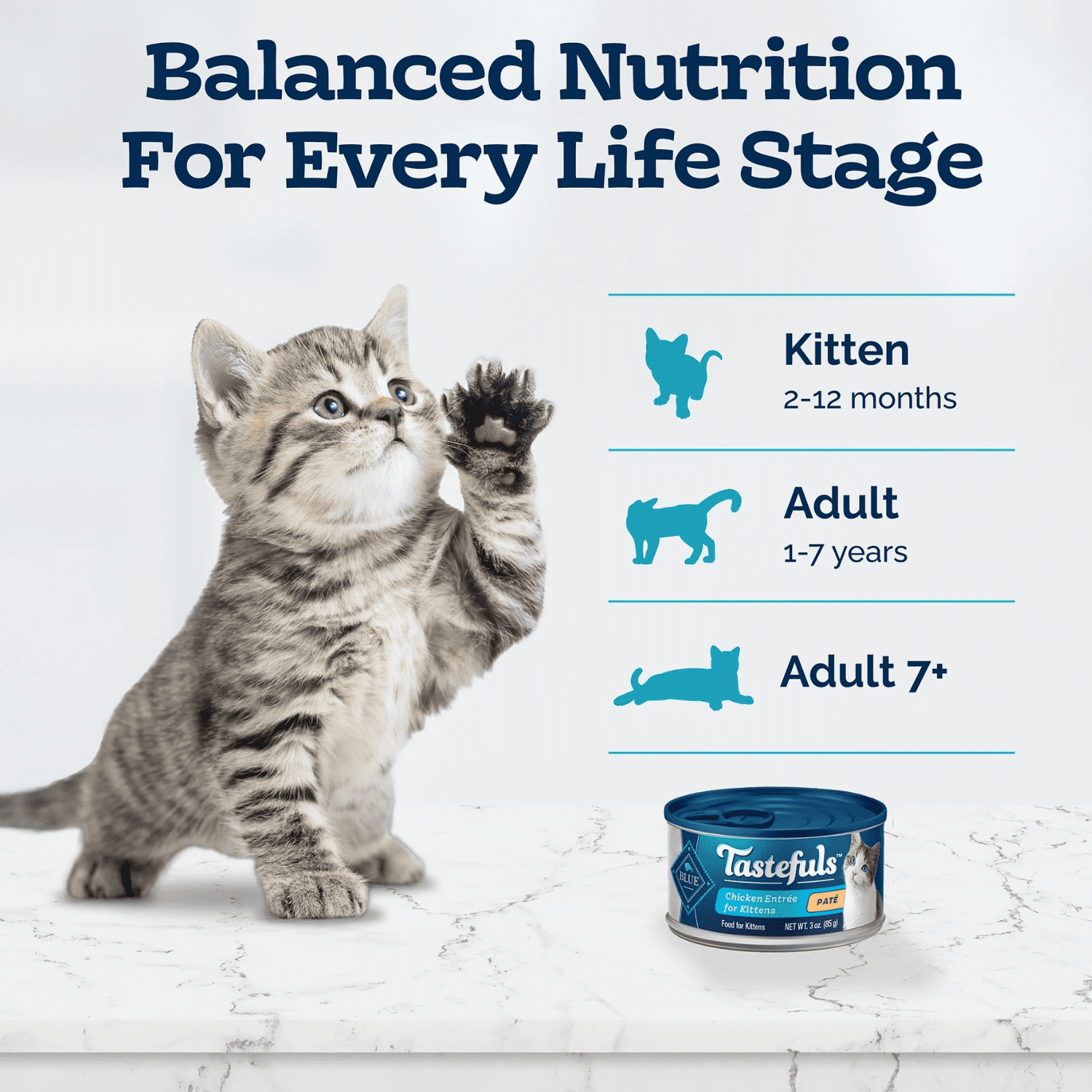 Blue Buffalo Tastefuls Kitten Wet Food Paté Multi-Pack, 6x85g