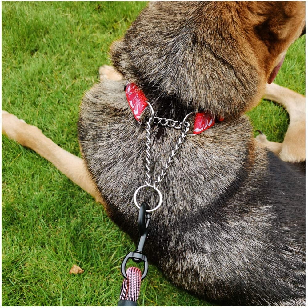 IGUOHAO Martingale Slip Dog Collar Stainless Steel Chain No Pull Nylon Choke Collar for Medium and Large Dog Training Walmart