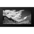 thumbnail image 2 of Marshall, Laura 24x14 Black Modern Framed Museum Art Print Titled - Zion Canyon II, 2 of 5