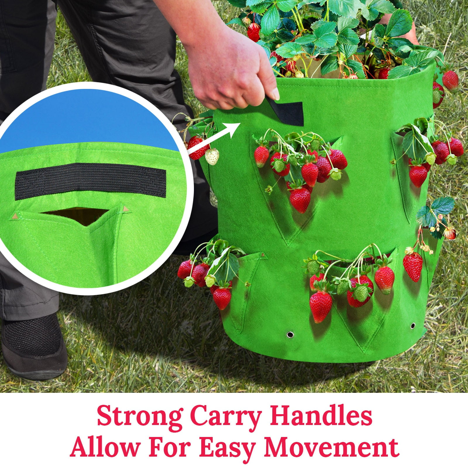 SUNNYOUTDOOR 10 Gallon Garden Strawberry Planter Strawberry Grow Bags Large Breathable Grow Bags for Fruits, Flower, Vegetables, Non-Woven Fabric Bag with Handles (1 Pack)
