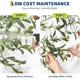 thumbnail image 5 of 9ft artificial olive tree con blanca planter - de altura fake indoor olive plant con realistic leaves & fruit para home y oficina floor decor, 5 of 7