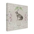 thumbnail image 2 of Trademark Fine Art 'Hare & Antlers I' Canvas Art by Naomi McCavitt, 2 of 4