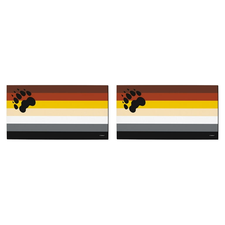 Gay 2024 bear flag