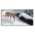 thumbnail image 1 of Epic Art 'Soft Snow-Cougar' by Ron Parker, Acrylic Glass Wall Art, 48"x24", 1 of 8