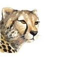 thumbnail image 2 of Loreth, Lanie 32x26 Black Ornate Wood Framed with Double Matting Museum Art Print Titled - Cheetah Portrait, 2 of 4