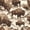 Beige Brown, variant on Erosebridal Western Highland Twin Quilt Set,Buffalo Dreamcatcher Cow Pattern Print Twin Coverlet Set For Boys,2-Piece