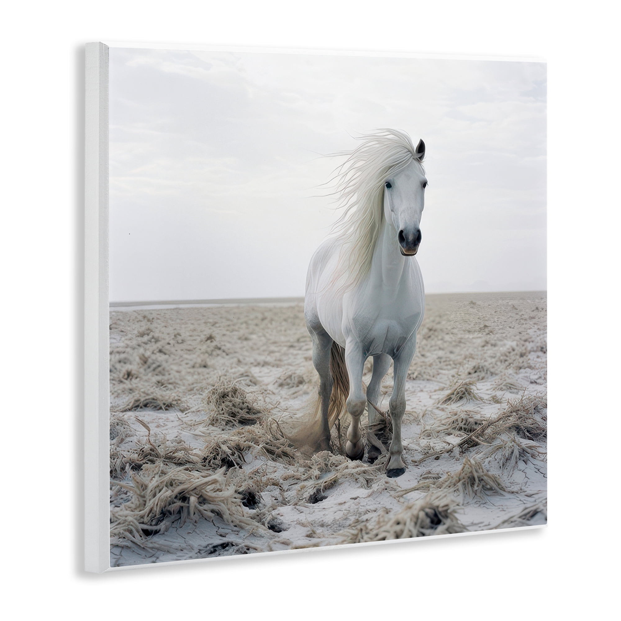 Stupell Industries Windswept Beach Horse Animals Photography Unframed Art Print Wall Art, 12 x 12