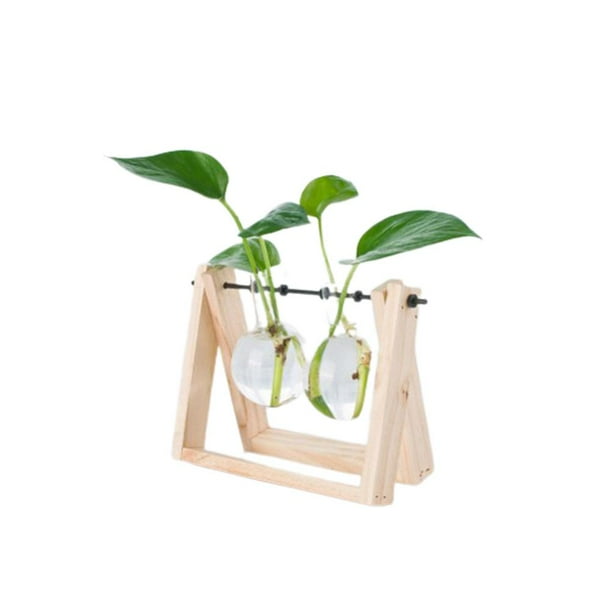 Planta Hidropónica Florero Transparente Marco De Madera Mesa Decorativa Vidrio Transparente Contenedor De Flores Bonsai Planta Decoración Florero Guardurnaity HA039933-04