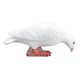 thumbnail image 4 of Adorno de palomas blancas artificiales, resina de alta simulación, adornos de pájaros de plumas blancas para decoración del hogar y jardín, paloma blanca con la cabeza hacia abajo para comida, 4 of 5