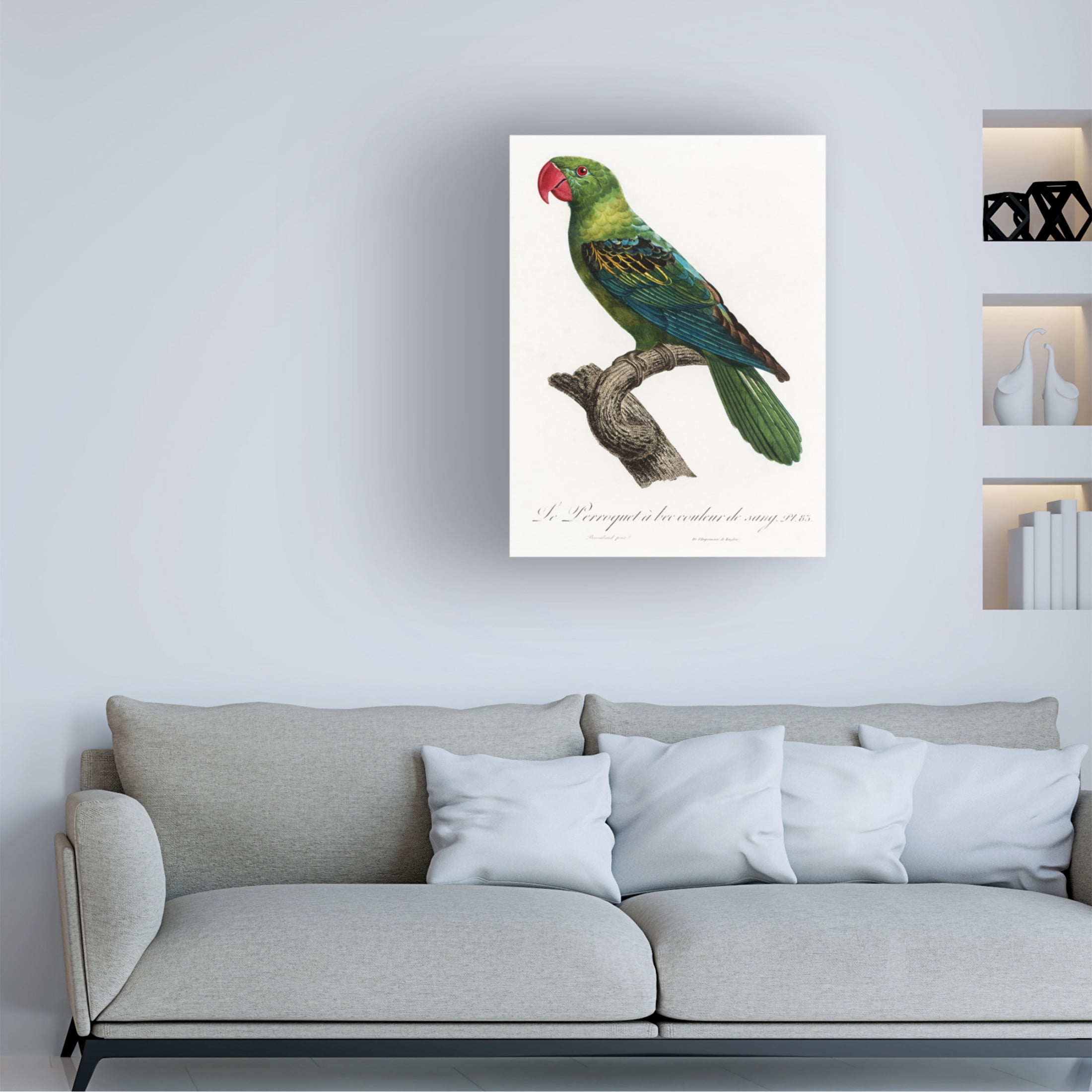 Trademark Fine Art Francois Levaillant Levaillant Parrot X Canvas Wall Art