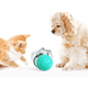 thumbnail image 2 of Dispensador De Comida Interactivo Para Perros Gatos Juguetes LingWen 9024719145211, 2 of 5