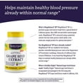 thumbnail image 5 of Healthy Origins Mega Natural-BP Grape Seed Extract - 300 mg - 60 Capsules, 5 of 6