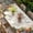 Off-White, variant on Spring Flowers Table Cloths for 6 Foot Rectangle Tables, Botanical Blossom Floral Pot Plants Patio Waterproof Elastic Fitted Tablecloths, Washable Rectangular Table Cover for Camping