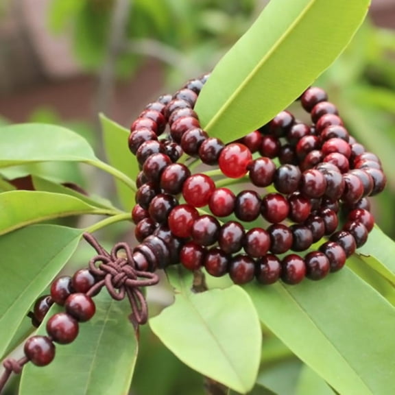 Misterolina 108 Mala Prayer Beads Sandalwood Buddhist Bracelet 6mm Meditation